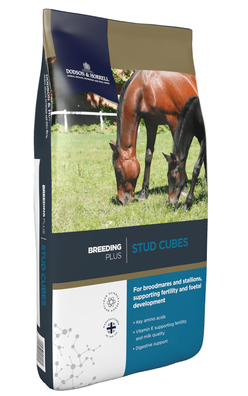 D&H Stud Cubes 20kg - Ashurst Equestrian & Country
