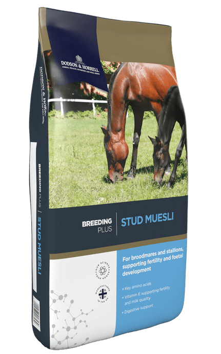 D&H Stud Muesli 20kg - Ashurst Equestrian & Country