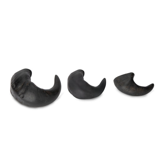 Digby & Fox Buffalo Horns - Ashurst Equestrian & Country
