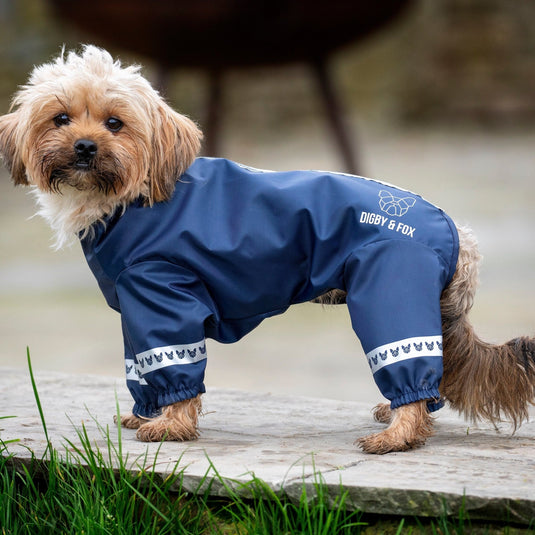 Digby & Fox Cover-All Dog Coat - Ashurst Equestrian & Country