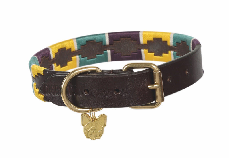 Load image into Gallery viewer, Digby &amp; Fox Drover Polo Dog Collar - Ashurst Equestrian &amp; Country
