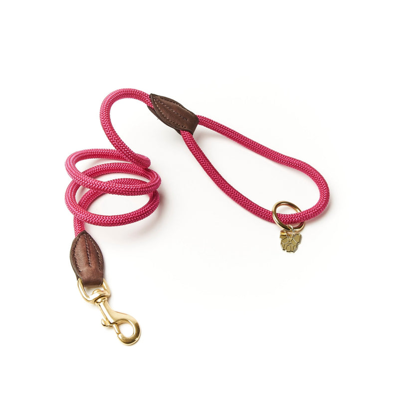 Load image into Gallery viewer, Digby &amp; Fox Fine Rope Lead - Ashurst Equestrian &amp; Country
