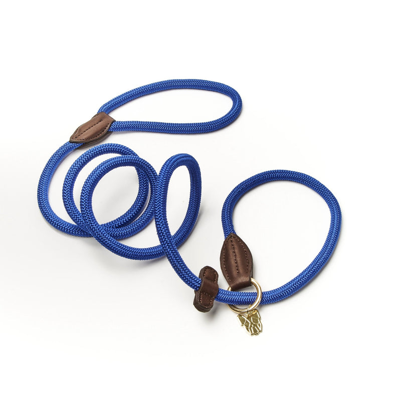 Load image into Gallery viewer, Digby &amp; Fox Fine Rope Slip Lead - Ashurst Equestrian &amp; Country
