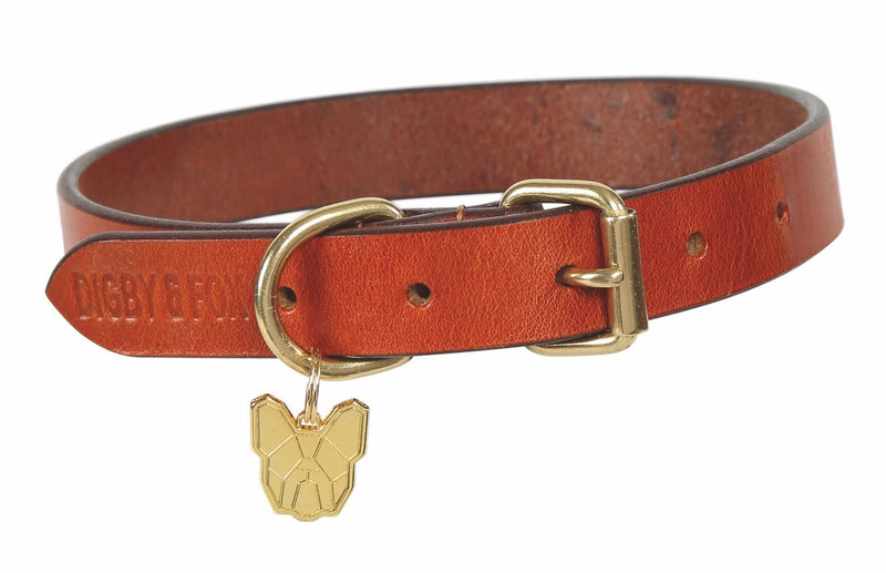 Load image into Gallery viewer, Digby &amp; Fox Flat Leather Dog Collar - Ashurst Equestrian &amp; Country
