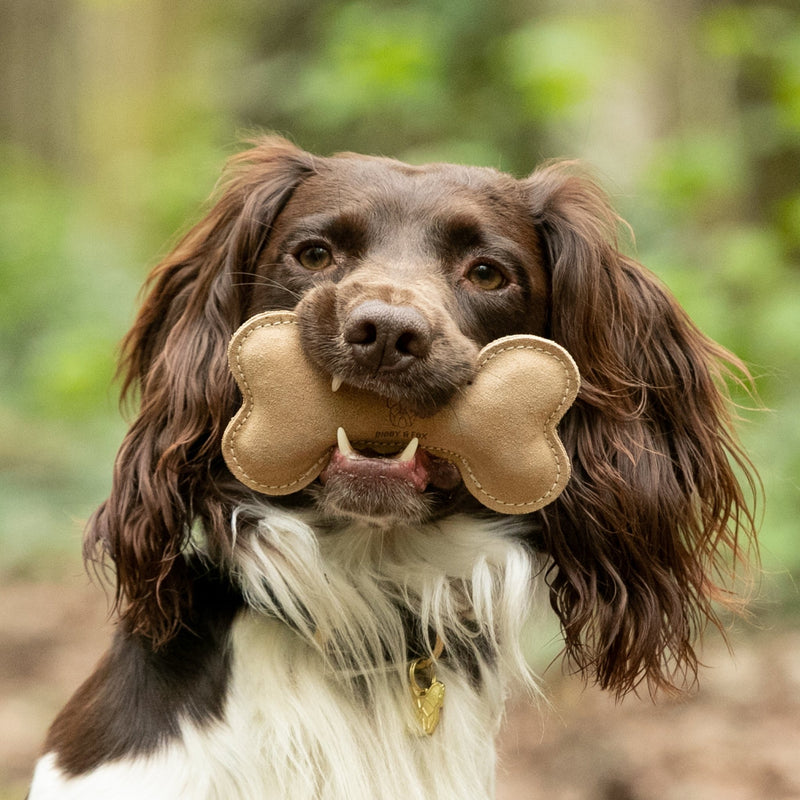 Load image into Gallery viewer, Digby &amp; Fox Leather Bone Toy - Ashurst Equestrian &amp; Country
