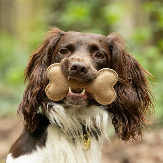 Digby & Fox Leather Bone Toy - Ashurst Equestrian & Country