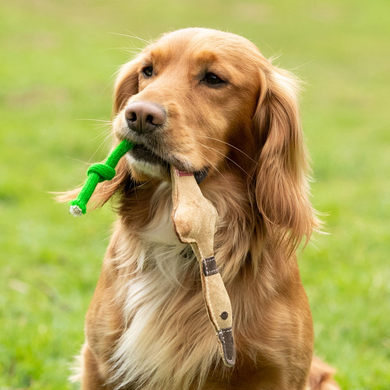 Load image into Gallery viewer, Digby &amp; Fox Leather Duck Toy - Ashurst Equestrian &amp; Country
