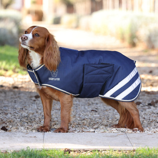 Digby & Fox Lite Waterproof Dog Coat - Ashurst Equestrian & Country