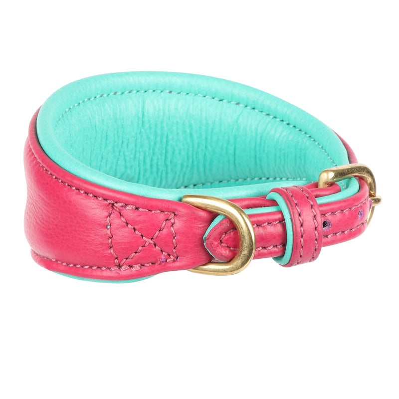Load image into Gallery viewer, Digby &amp; Fox Padded Greyhound Collar - Ashurst Equestrian &amp; Country
