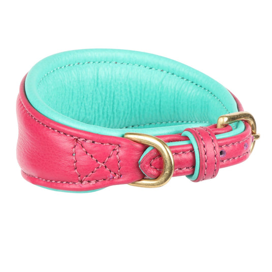Digby & Fox Padded Greyhound Collar - Ashurst Equestrian & Country