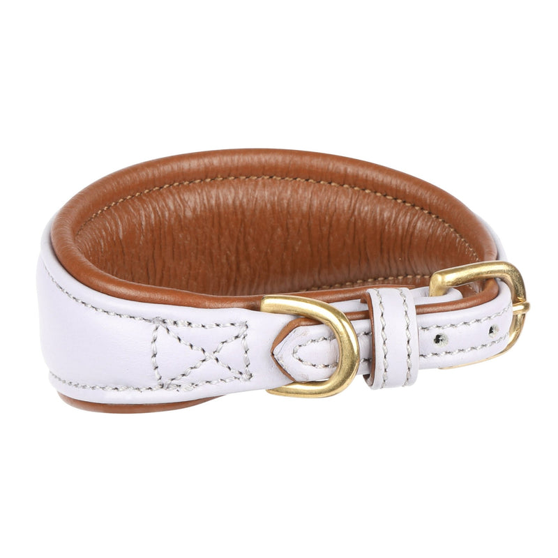 Load image into Gallery viewer, Digby &amp; Fox Padded Greyhound Collar - Ashurst Equestrian &amp; Country
