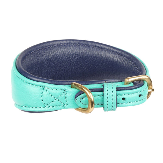 Digby & Fox Padded Greyhound Collar - Ashurst Equestrian & Country