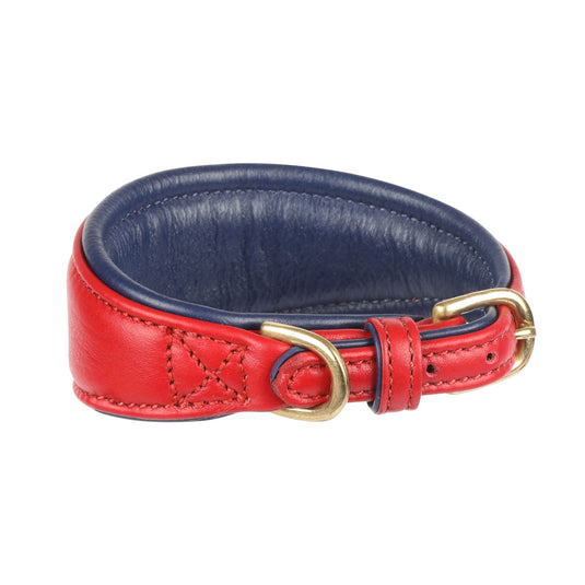 Digby & Fox Padded Greyhound Collar - Ashurst Equestrian & Country