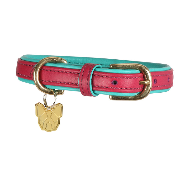 Load image into Gallery viewer, Digby &amp; Fox Padded Leather Dog Collar - Ashurst Equestrian &amp; Country
