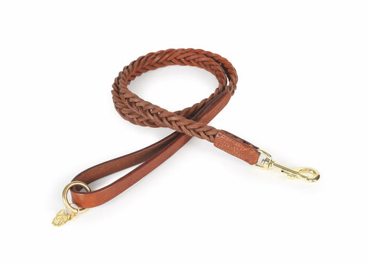 Digby & Fox Plaited Dog Lead - Ashurst Equestrian & Country