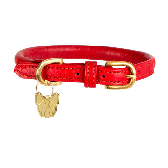 Digby & Fox Rolled Leather Dog Collar - Ashurst Equestrian & Country