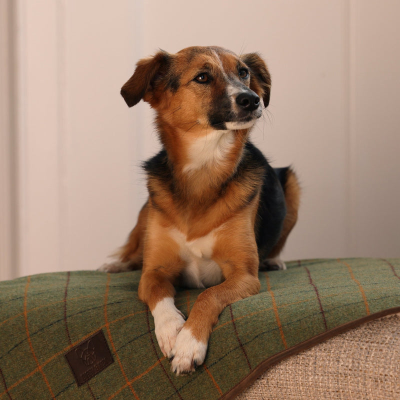 Load image into Gallery viewer, Digby &amp; Fox Tweed Blanket - Ashurst Equestrian &amp; Country
