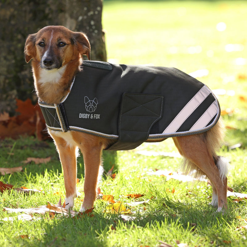 Load image into Gallery viewer, Digby &amp; Fox Waterproof Dog Coat - Ashurst Equestrian &amp; Country
