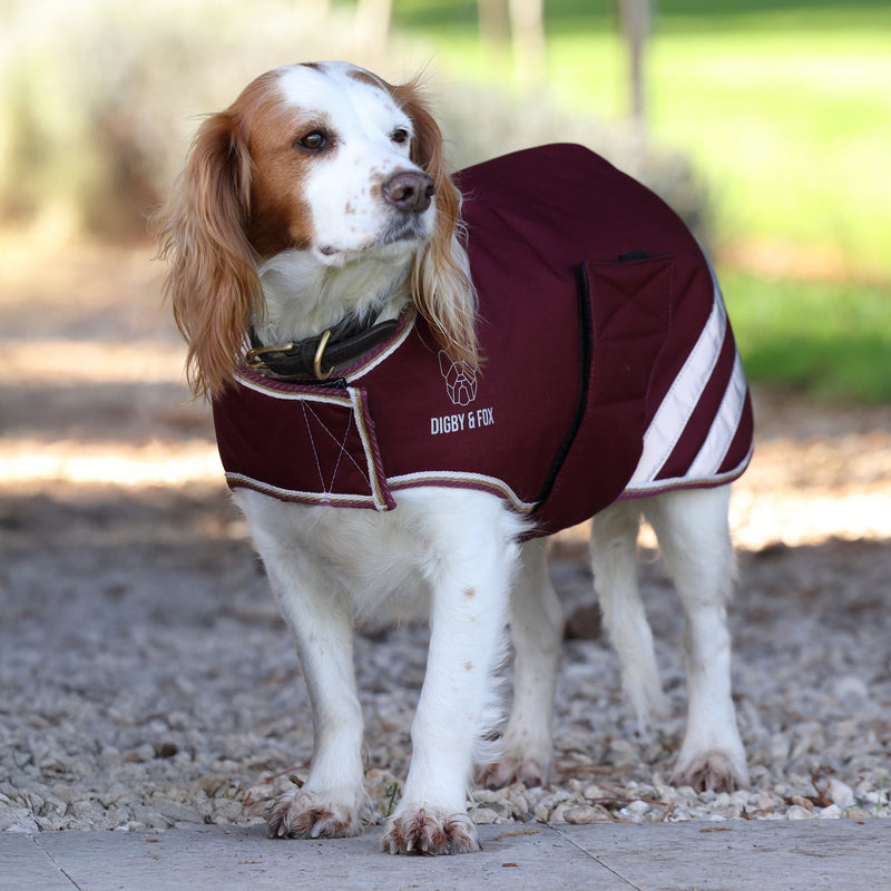 Load image into Gallery viewer, Digby &amp; Fox Waterproof Dog Coat - Ashurst Equestrian &amp; Country
