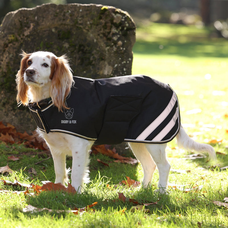 Load image into Gallery viewer, Digby &amp; Fox Waterproof Dog Coat - Ashurst Equestrian &amp; Country
