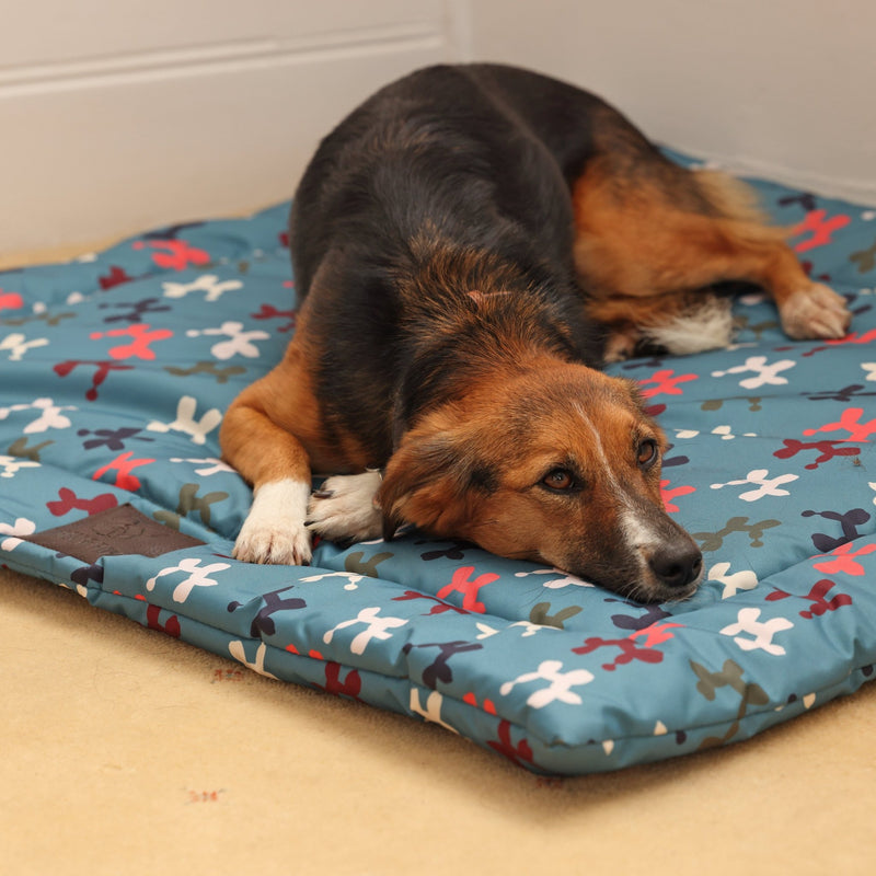 Load image into Gallery viewer, Digby &amp; Fox Waterproof Padded Dog Bed - Ashurst Equestrian &amp; Country
