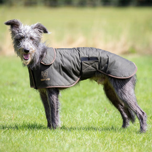 Digby & Fox Wax Greyhound Coat - Ashurst Equestrian & Country