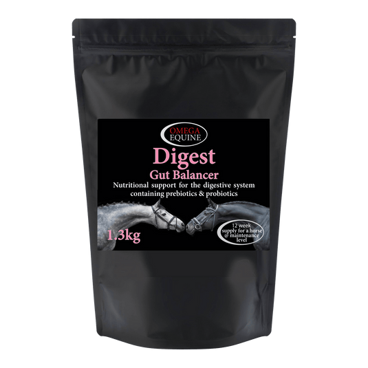 Digest – Gut Balancer - Ashurst Equestrian & Country