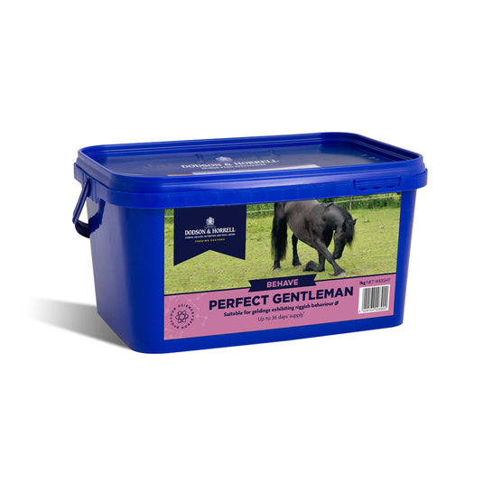 Dodson & Horrell Perfect Gentleman - Ashurst Equestrian & Country