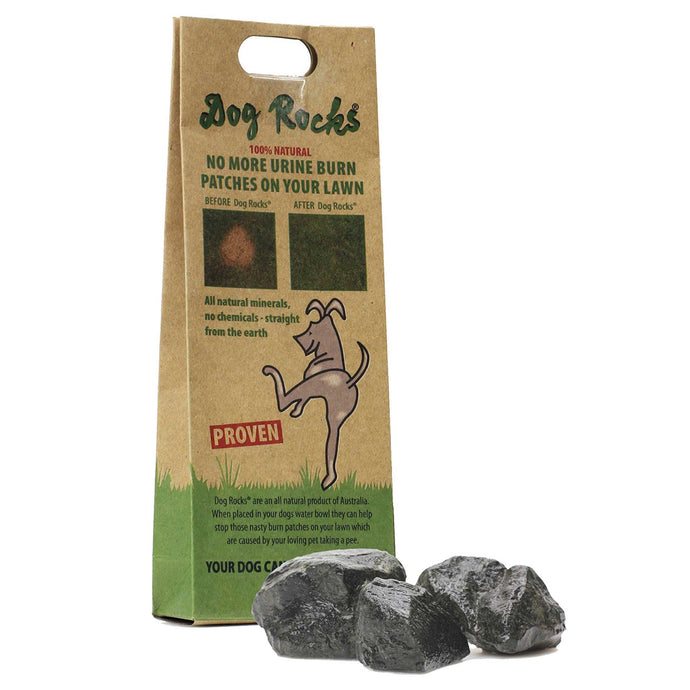 Dog Rocks - Ashurst Equestrian & Country