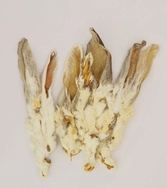 Doodles Deli Air Dried Rabbit Ears with Hair - Single - Ashurst Equestrian & Country