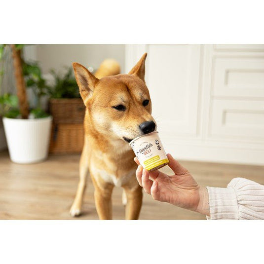Doodles Deli Chicken Frozen Doggy Treats 125ml - Ashurst Equestrian & Country