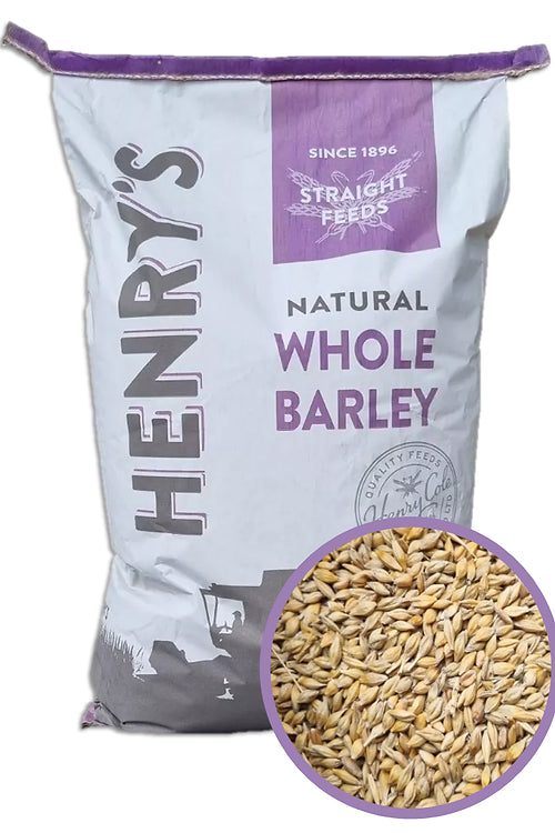 Whole Barley 20kg
