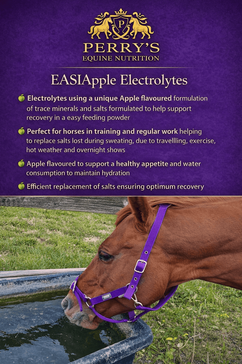 Load image into Gallery viewer, EASIAPPLE Electrolytes - Ashurst Equestrian &amp; Country
