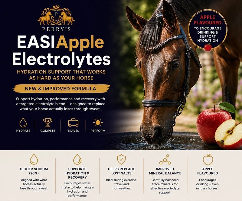 Load image into Gallery viewer, EASIAPPLE Electrolytes - Ashurst Equestrian &amp; Country
