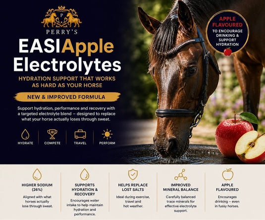EASIAPPLE Electrolytes - Ashurst Equestrian & Country