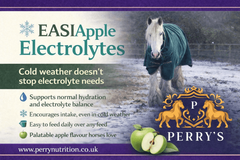 Load image into Gallery viewer, EASIAPPLE Electrolytes - Ashurst Equestrian &amp; Country
