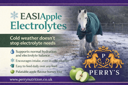 EASIAPPLE Electrolytes - Ashurst Equestrian & Country
