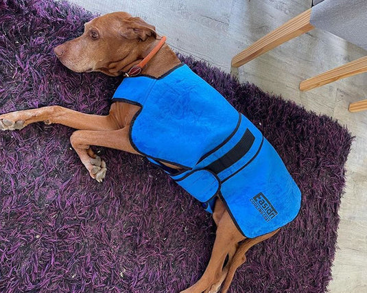Easidri Cooling Coat - Ashurst Equestrian & Country