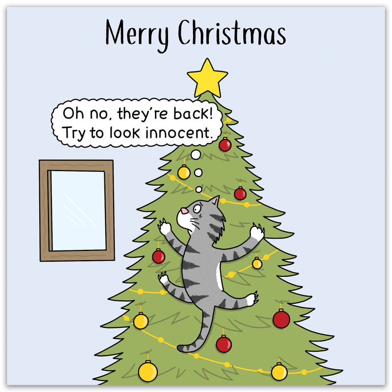Load image into Gallery viewer, Funny Christmas Card - Innocent Cat
