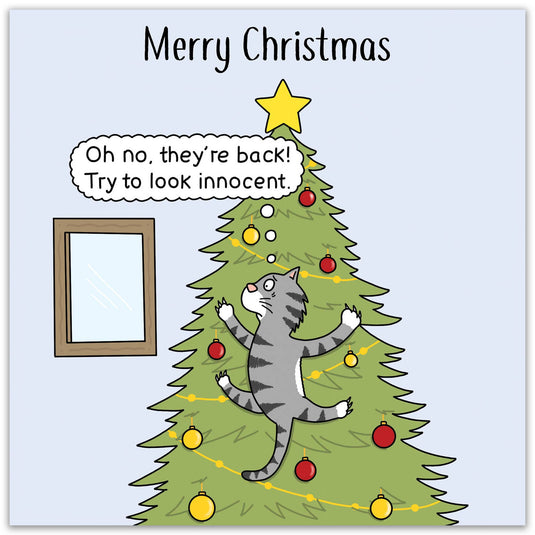 Funny Christmas Card - Innocent Cat