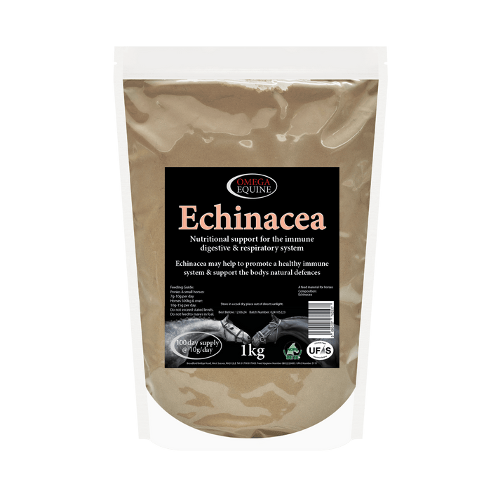 Echinacea - Ashurst Equestrian & Country