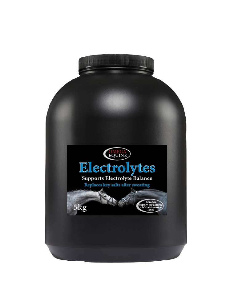 Load image into Gallery viewer, Electrolytes - Ashurst Equestrian &amp; Country
