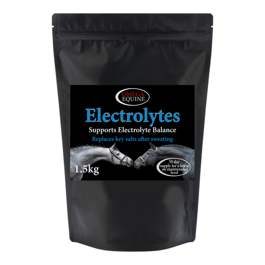Electrolytes - Ashurst Equestrian & Country