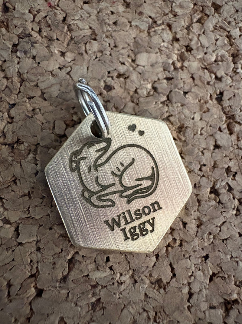 Load image into Gallery viewer, Engraved Dog Tags - Hexagonal - Ashurst Equestrian &amp; Country
