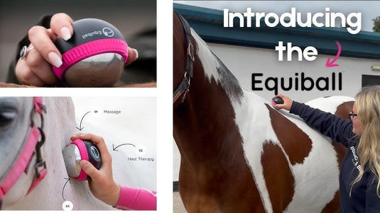 Equiball Massage Ball - Ashurst Equestrian & Country