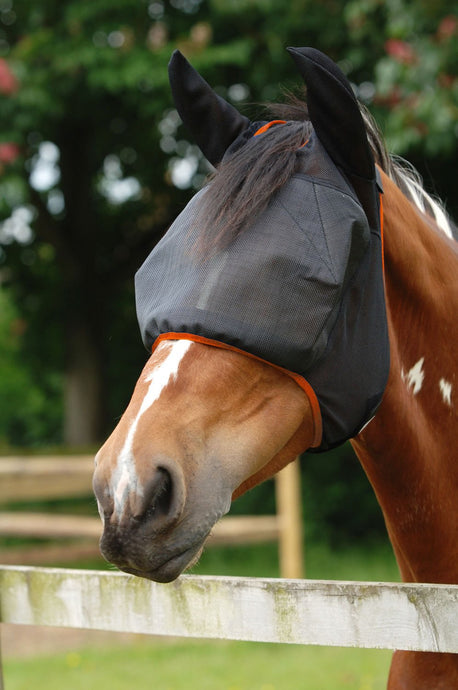 Equilibrium Field Relief Midi Fly Mask & Ears Black/Orange - Ashurst Equestrian & Country