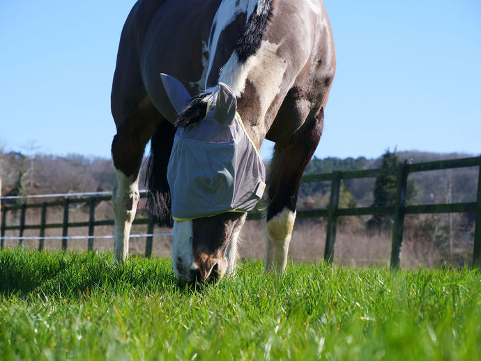 Equilibrium Field Relief Midi Fly Mask & Ears Grey/Yellow - Ashurst Equestrian & Country