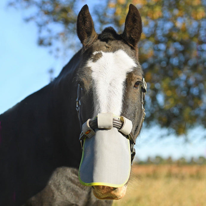 Equilibrium Field Relief Muzzle Protector - Ashurst Equestrian & Country