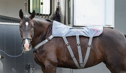 Equilibrium Heatsense Massage Pad - Ashurst Equestrian & Country