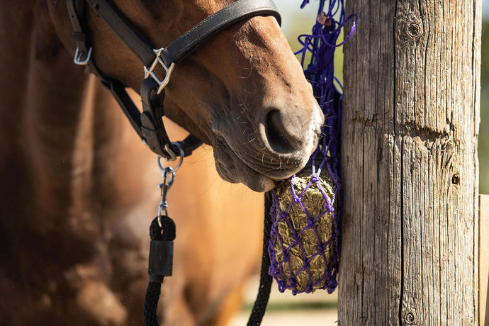 Equilibrium Munch Net - Ashurst Equestrian & Country